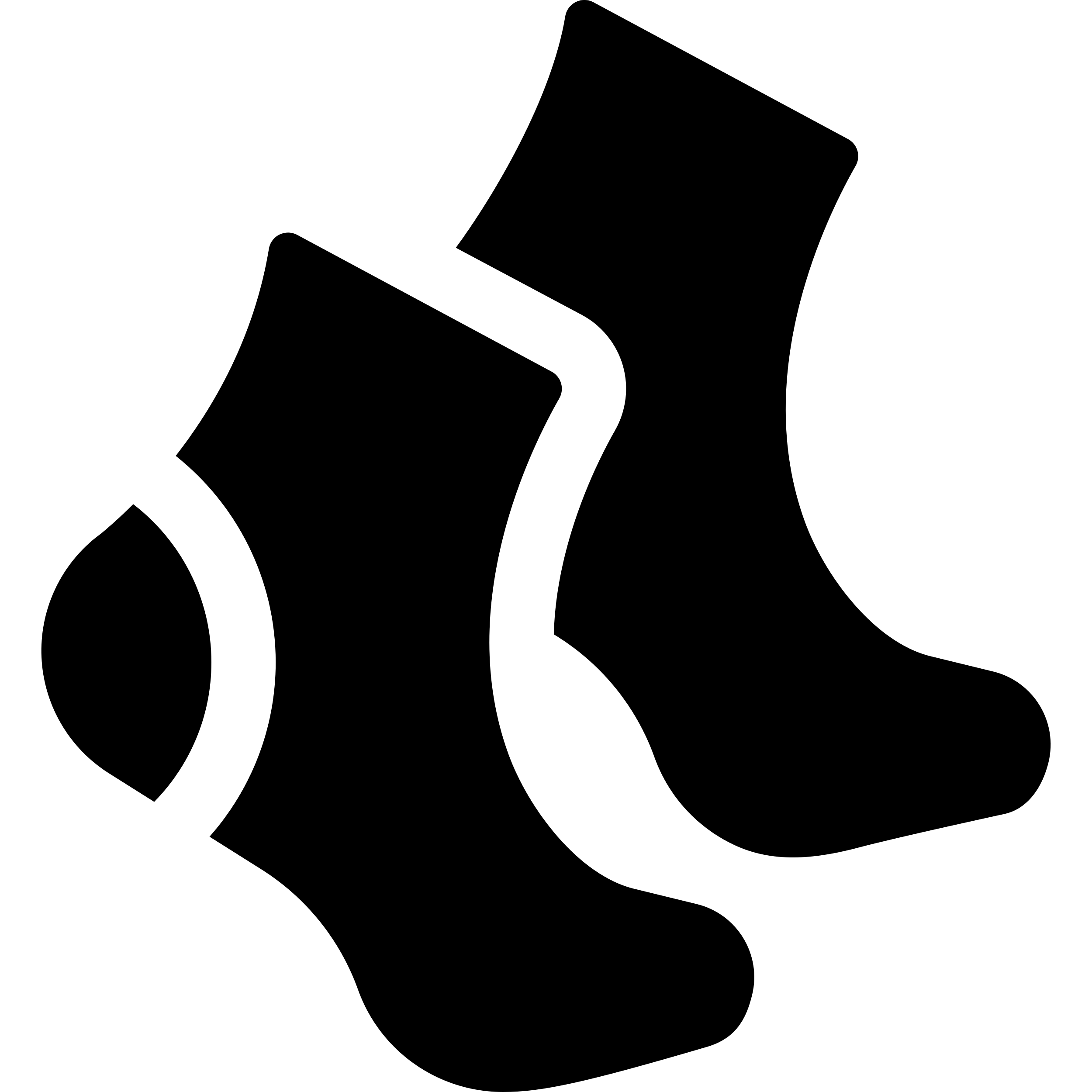 носки